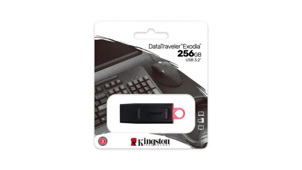 Kingston DataTraveler Exodia 256GB - Imagen 2